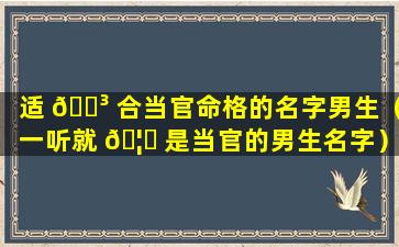 适 🌳 合当官命格的名字男生（一听就 🦟 是当官的男生名字）